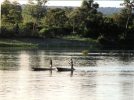 (550) Zambezi River - Zambia - Zambie