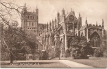 Exeter Cathedral - Exeter