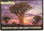 Nambia-quivertree Forest And Giants Playground - Namibië