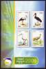 ALGERIE ALGERIA ALGERIEN - 2006 - Document Officiel - Official Document - Echassiers - Storks & Long-legged Wading Birds