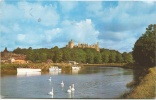 Arundel Castle - Arundel