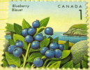 Canada 1992 Blueberry 1c - Mint - Unused Stamps