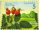 Canada 1992 Rose Hip 5c - Mint - Neufs