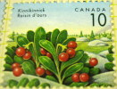 Canada 1992 Kinnikinnick 10c - Mint - Unused Stamps