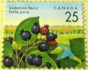 Canada 1992 Saskatoon Berry 25c - Mint - Neufs