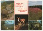 - Bonjour Des Ardennes Pittoresques - Groeten Uit De Schilderachtige Ardennen - Scan Verso - - Andere & Zonder Classificatie