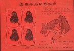 CHINA CHINE COMMEMORATIVE SHEET - Other & Unclassified
