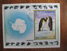 3-1168 Peinguin Manchot  Antarctic Antarctique Zuidpool Antarktis Südpol Antártico El Polo Sur Antartico Polo Sud - Pingouins & Manchots