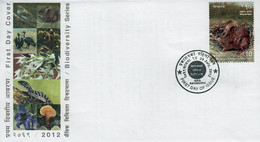 HISPID HARE FDC NEPAL 2012 - Lapins