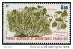 ***TAAF Lichen  126 MNH*** - Ungebraucht