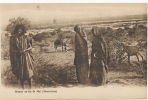 Maures Au Lac De Mal  Gardien Chevre Ane Goat Keeper - Mauritanië