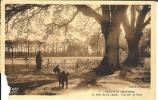 56 - Morbihan - Pénestin - Le Bois De La Lande - Vue Du Parc - Format 9 X 14,2 - Abimée - Provient D´un Carnet - Pénestin