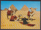 Egypt Egypte CPA Giza - Arab Camelriders In Front Of The Pyramids - Guiza