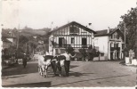 Hasparren (64) : Attelage Basque - Hasparren