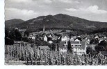 Müllheim Baden Hochblauen Wohnhäuser Weinberge Reben Sw 60er - Müllheim