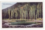 EMERALD POOL~YELLOWSTONE NATIONAL PARK Postcard~HOT SPRING ~c1940s-50s ~WYOMING  [o2888] - USA Nationale Parken