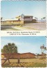 Clearwater & Bradenton FL Florida, Harbor House Restaurants, Dining, On C1970s Vintage Postcard - Bradenton