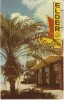St. Petersburg FL Florida, Elder & Powell Realtors Realty Company, C1970s Vintage Postcard - St Petersburg