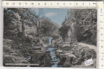 PO4943B# REGNO UNITO - JESMOND DENE - NEWCASTLE-UPON-TYNE  VG 1967 - Newcastle-upon-Tyne