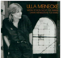 * LP *  ULLA MEINECKE - WENN SCHON NICHT FÜR IMMER DANN WENIGSTENS FÜR EWIG (Germany EX-!!!) - Autres - Musique Allemande