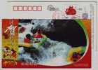 Canyon Jet Stream Rafting,China 2009 Xiushui Country New Year Greeting Advertising Pre-stamped Card - Rafting