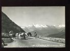 CPM Animée Neuve Suisse Col Du Simplon , Vaches,  Autocar - Simplon