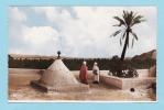 ALGERIE - BOU.SAADA 1961 - La Mosquée + Animation - Medea