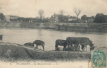 ( CPA 92 )  VILLENEUVE  /  Les Berges De La Seine  - - Villeneuve La Garenne