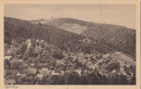 Bad Elgersburg, Mit Hohe Wartskopf, Um 1915 - Elgersburg