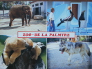 17 - LA PALMYRE - ZOO De La Palmyre - Eléphant - Les Otaries Savantes - Ours Et Ourson - Le Loup. - Les Mathes