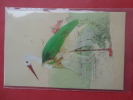 Bird With Feathers Attached- Ca 1910-  ---   Ref 619 - Vogels