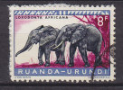 Ruanda-Urundi 1959 Mi. 171 A      8 Fr Geschüzte Tier Afrikanischer Elefant - Oblitérés