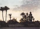 AFRIQUE,AFRICA,MAROC,MAROCCO,MARRUECOS,MARRAKECH,KOUTOUBIA,OASIS ,TOMBEE DE LA NUIT - Marrakech