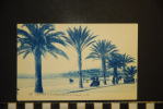 CP 06- CANNES - LA PROMENADE DE LA CROISETTE-  232 LL  -ECRITE 1925 - Cannes