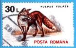 ROMANIA - 1993 -  Animali - Volpe Rossa - Vulpes Vulpes - 30 L - Usado