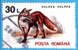 ROMANIA - 1993 -  Animali - Volpe Rossa - Vulpes Vulpes - 30 L - Usati