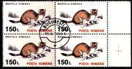 ROMANIA - 1993 -  Animali - Ermellino - Mustela Erminea - 150 L - Quartina - Usado