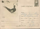 Romania-Postal Stationery Postcard 1970-Pheasant;Faisan;Fasan - Gallinacées & Faisans