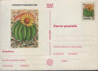 Romania-Postal Stationery Postcard 1997-Cactus- Astrophytum Ornatum -unused - Sukkulenten