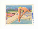 Plongeon , Saut Carpé  /  Image Biscottes Grégoire / Sport  / ( Natation )  //  IM 70/1 - Altri & Non Classificati