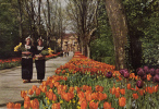 BR13949 Platenen Und Blumenallee  Gartenschau Bluhendes Barock In  Ludwigsburg   2 Scans - Ludwigsburg