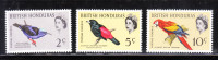 British Honduras 1962 Birds 3v MNH - Honduras Británica (...-1970)