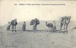 AFRIQUE DU NORD - ALGERIE - SCENES ET TYPES DANS LE SUD - CHAMELIERS Traversant Les Dunes - Profesiones