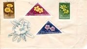 HUNGARY - 1958.Cover  - Flowers - Tarjetas – Máximo