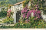 BR14343 Canary Islands The Entrance To A Country Residence   2 Scans - Sonstige & Ohne Zuordnung