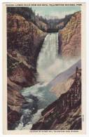 LOWER FALLS FROM RED ROCK GORGE~YELLOWSTONE NATIONAL PARK~1950s Postcard  [c2685] - Parques Nacionales USA