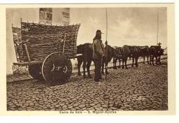 Açores Costumes São Miguel Carro De Bois  2 Scans Portugal - Açores