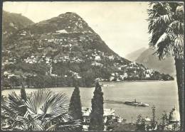 HELVETIA SWITZERLAND 1958 SUISSE POSTCARD / CATRE POSTALE TO EGYPT / EGYPTE PORT SAID LUGANO MONTE BRE -CENSORED - Port