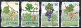 1240/ Slowenien Slovenia Slovenie 2000 Mi.No. 320 - 323 ** MNH Seria Alte Rebsorten Old Vine Types In Slovenia - Wines & Alcohols