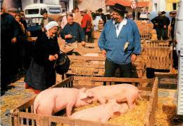 VENDEE MARAICHINE LE MARCHE AUX COCHONS - Otros